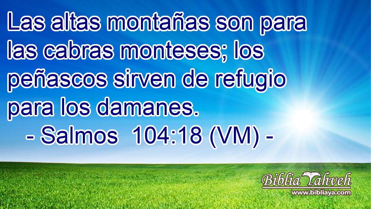 Las altas montañas son para las cabras monteses; los peñascos sirven de refugio para los damanes. 
