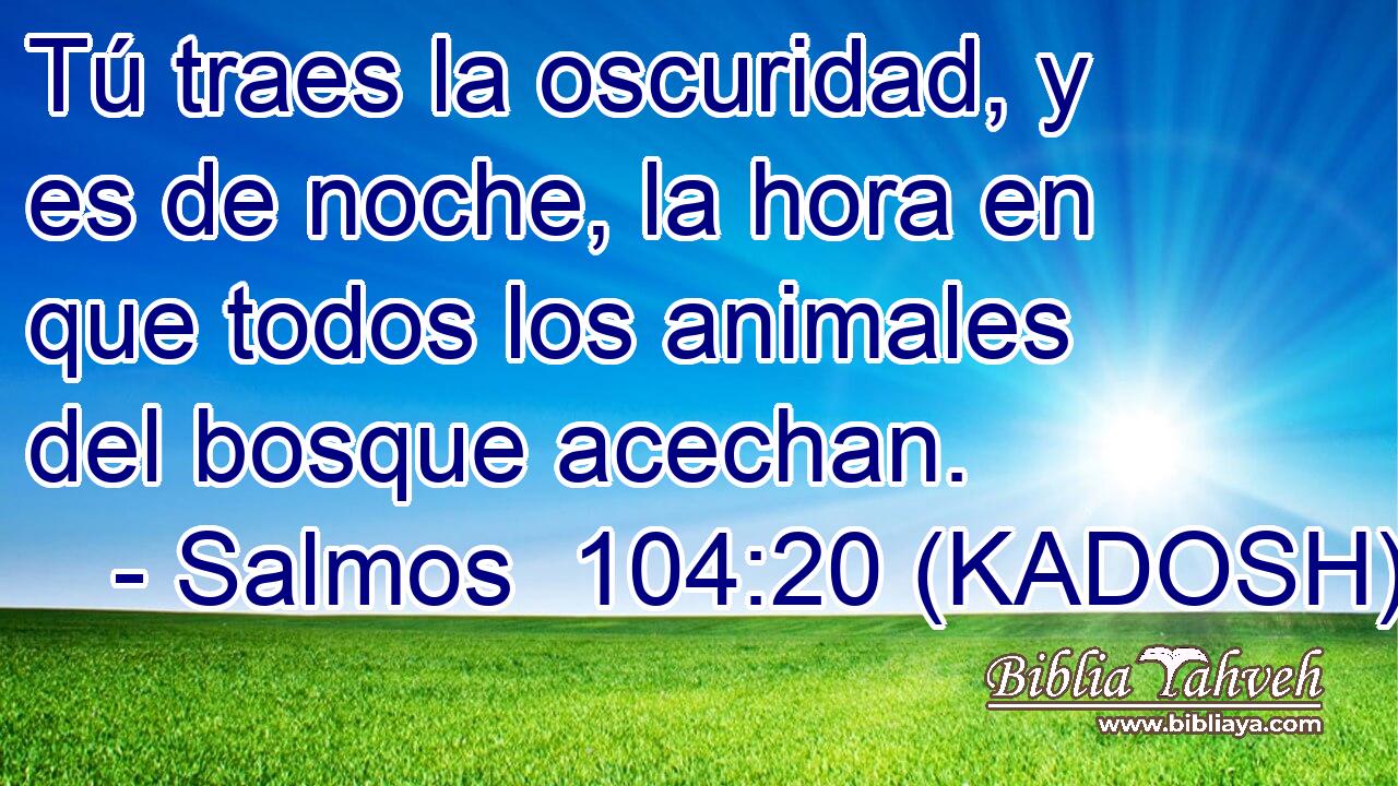  Tú traes la oscuridad, y es de noche, la hora en que todos los animales del bosque acechan. 