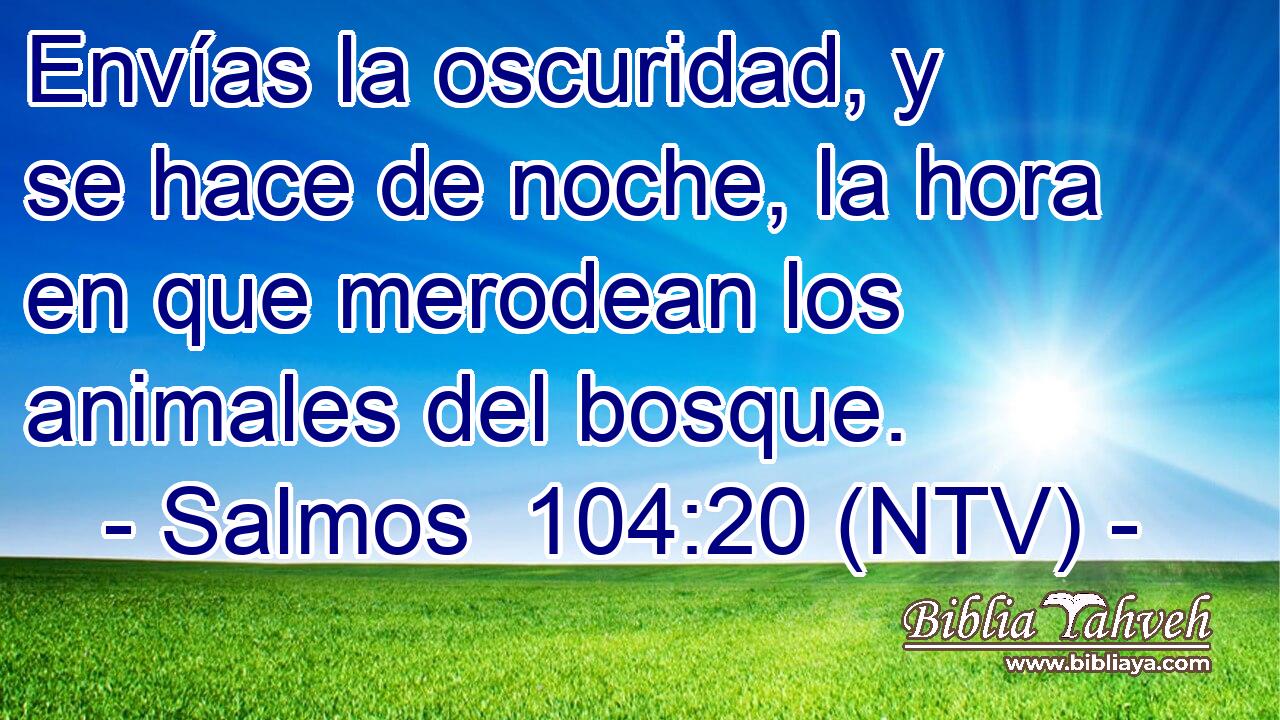 Envías la oscuridad, y se hace de noche, la hora en que merodean los animales del bosque.