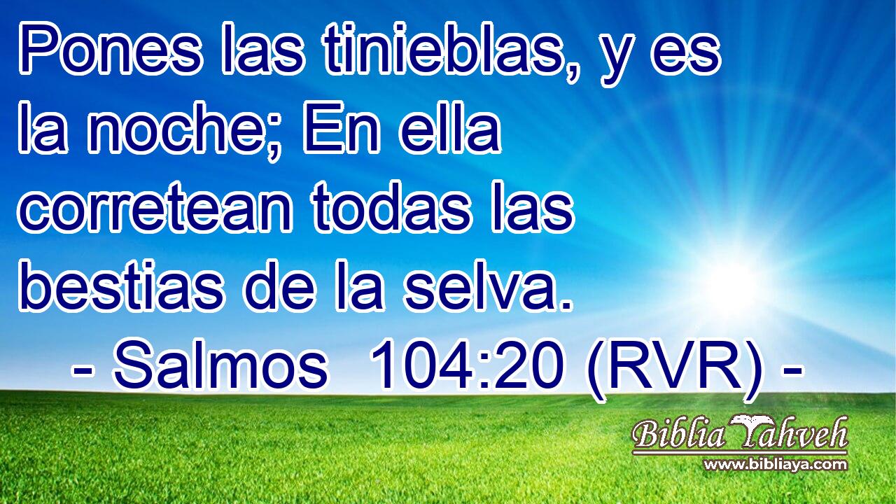 Pones las tinieblas, y es la noche; En ella corretean todas las bestias de la selva.