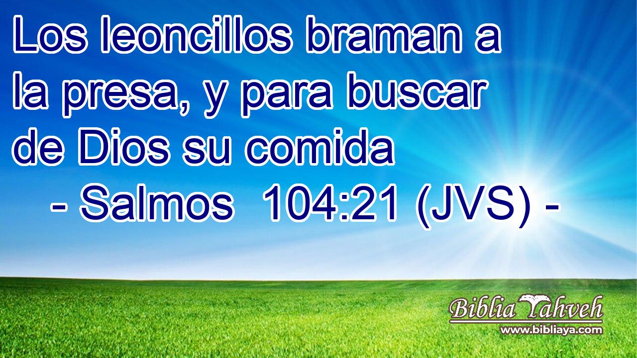 Los leoncillos braman a la presa, y para buscar de Dios su comida
