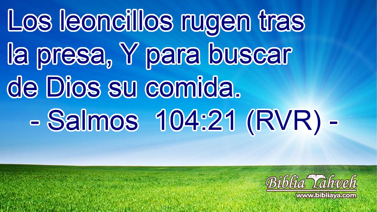 Los leoncillos rugen tras la presa, Y para buscar de Dios su comida.