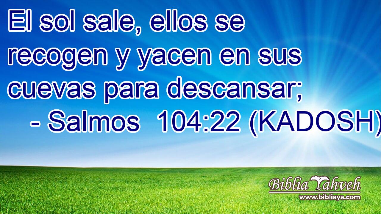  El sol sale, ellos se recogen y yacen en sus cuevas para descansar; 