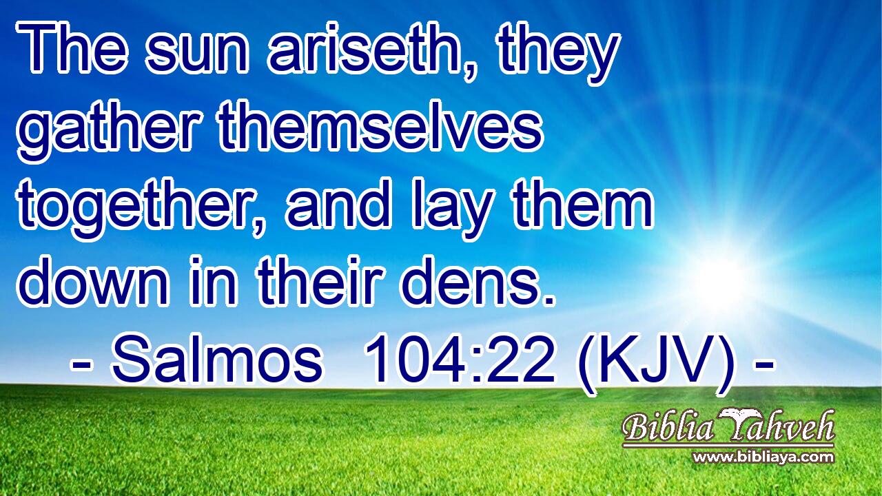 The sun ariseth, they gather themselves together, and lay them down in their dens.