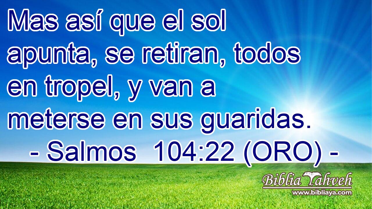  Mas así que el sol apunta, se retiran, todos en tropel, y van a meterse en sus guaridas. 