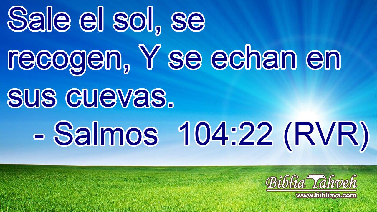 Sale el sol, se recogen, Y se echan en sus cuevas.