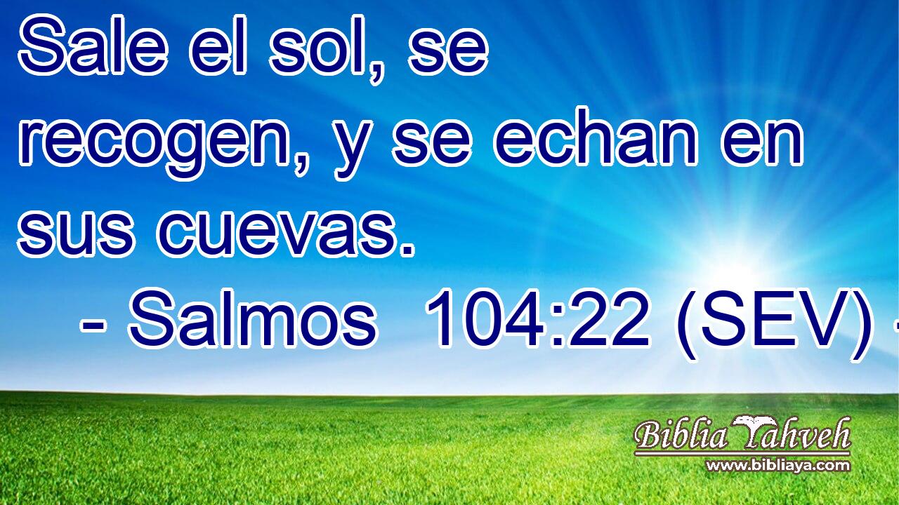 Sale el sol, se recogen, y se echan en sus cuevas.