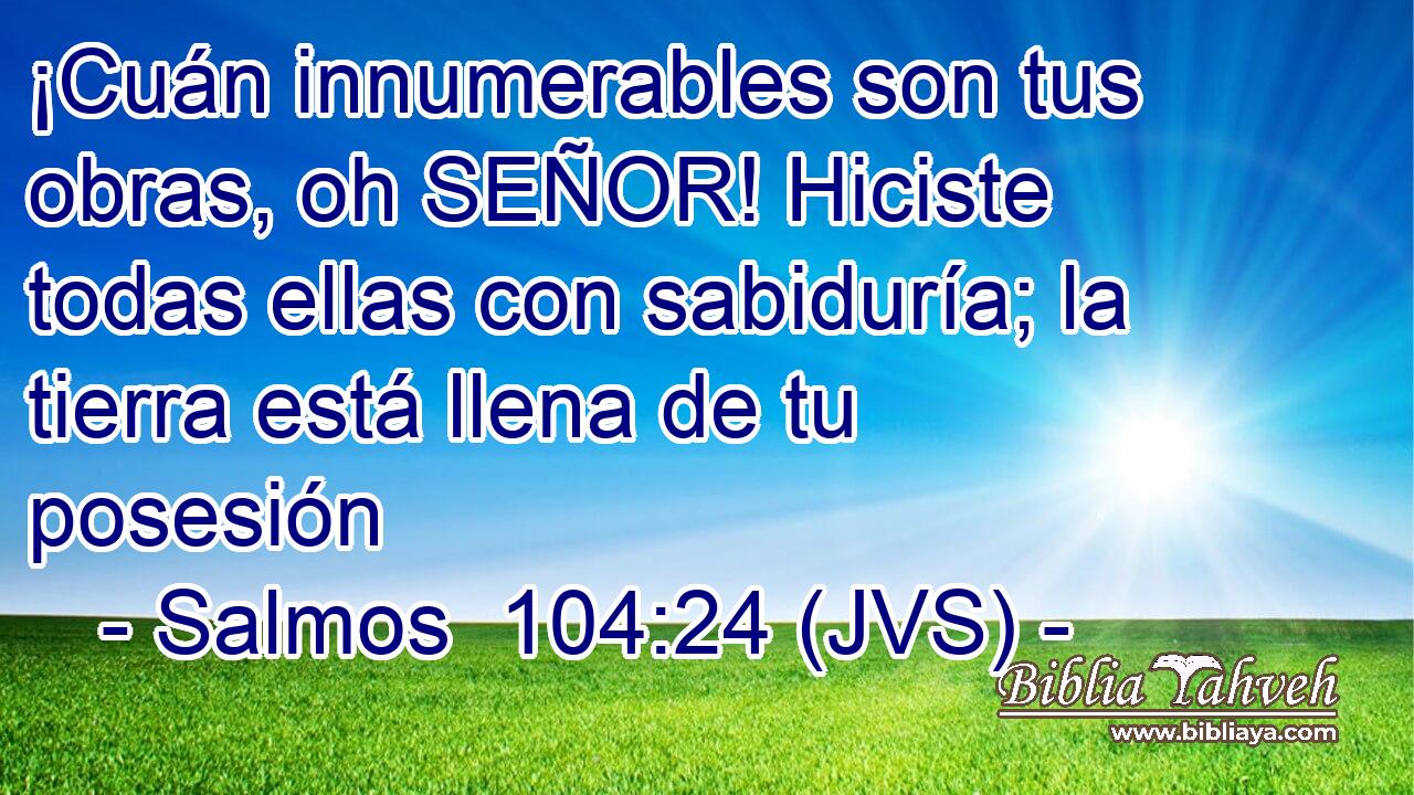 ¡Cuán innumerables son tus obras, oh SEÑOR! Hiciste todas ellas con sabiduría; la tierra está llena de tu posesión