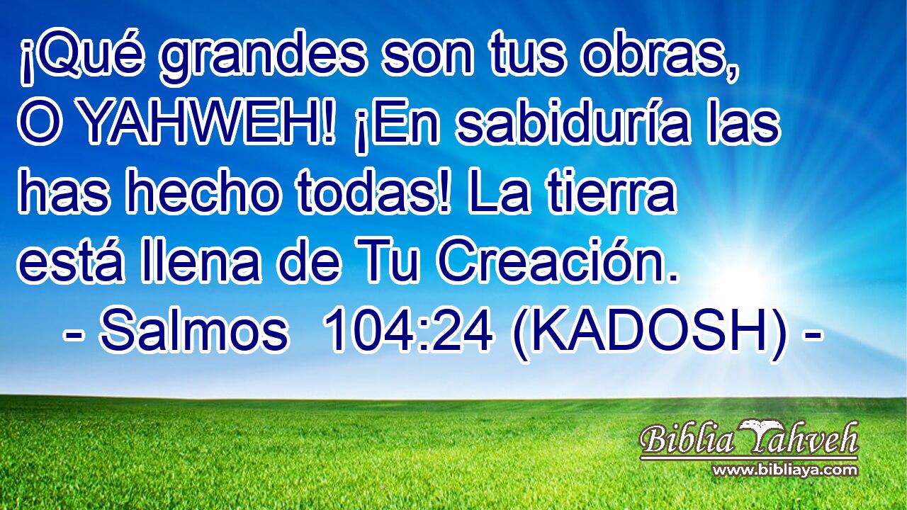  ¡Qué grandes son tus obras, O YAHWEH! ¡En sabiduría las has hecho todas! La tierra está llena de Tu Creación. 