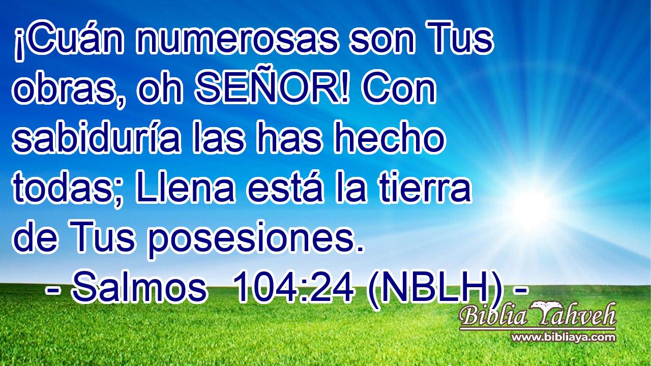  ¡Cuán numerosas son Tus obras, oh SEÑOR! Con sabiduría las has hecho todas; Llena está la tierra de Tus posesiones. 