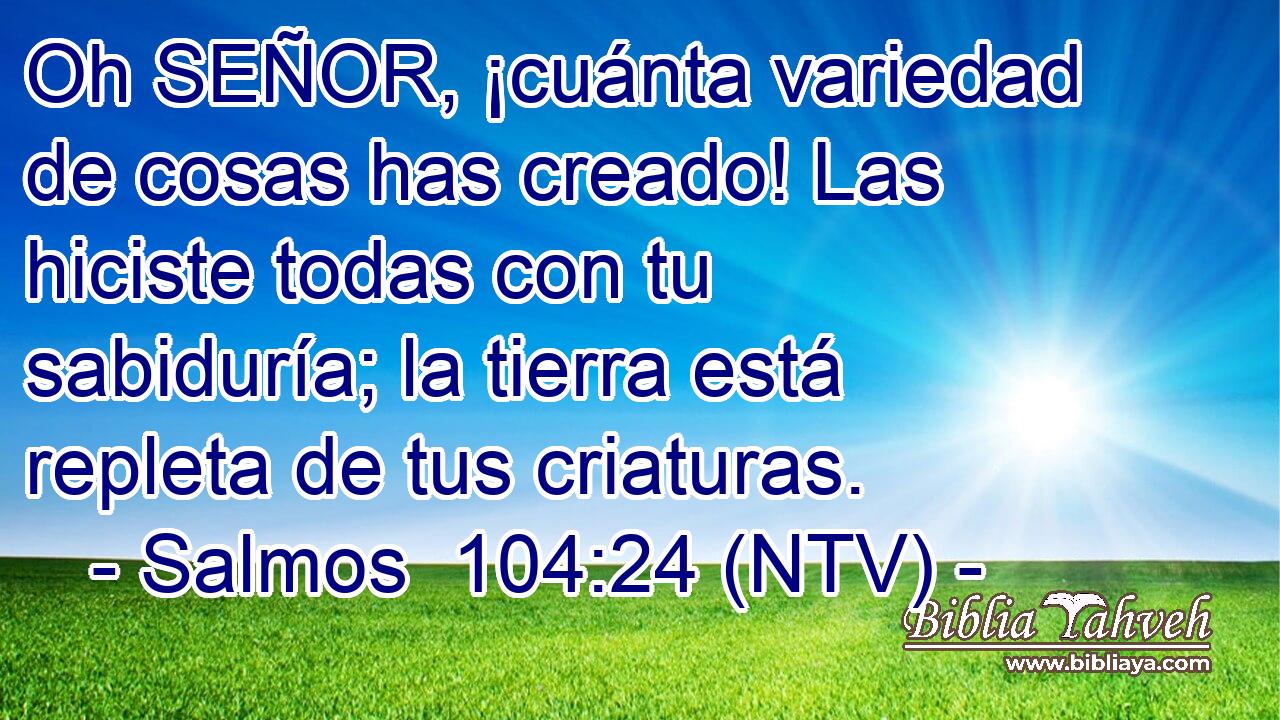 Oh SEÑOR, ¡cuánta variedad de cosas has creado! Las hiciste todas con tu sabiduría; la tierra está repleta de tus criaturas.