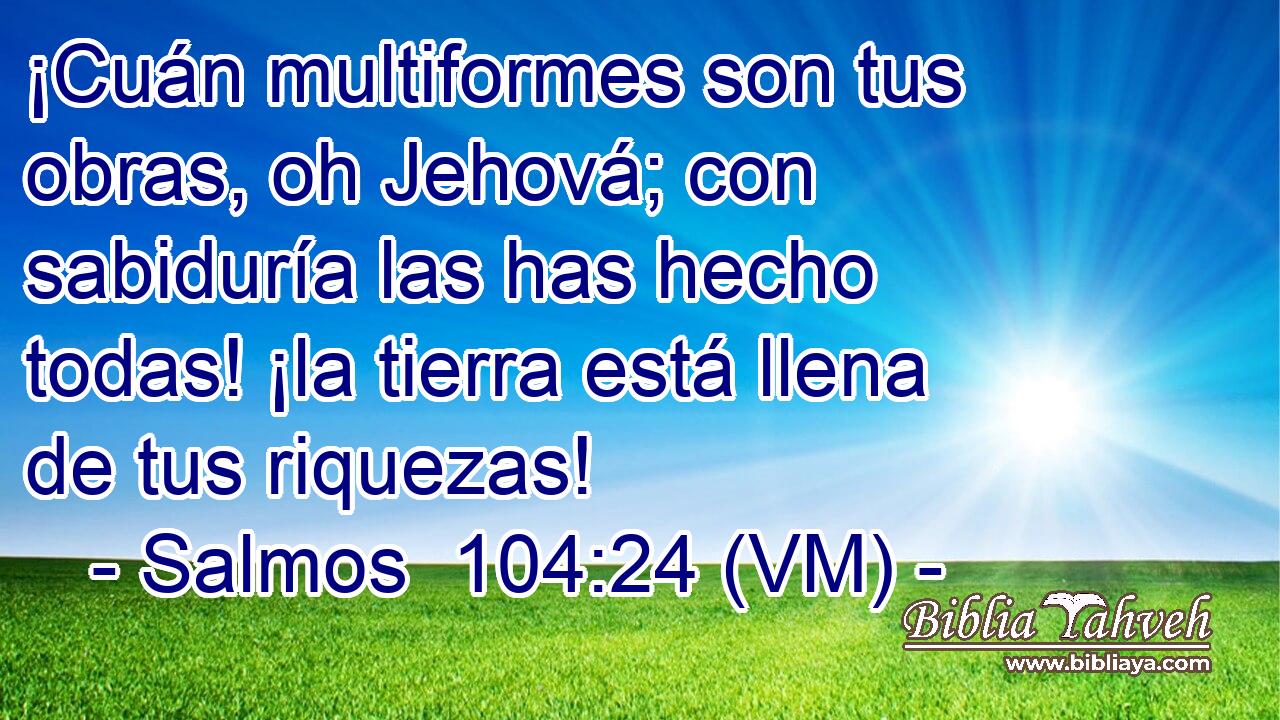  ¡Cuán multiformes son tus obras, oh Jehová; con sabiduría las has hecho todas! ¡la tierra está llena de tus riquezas! 
