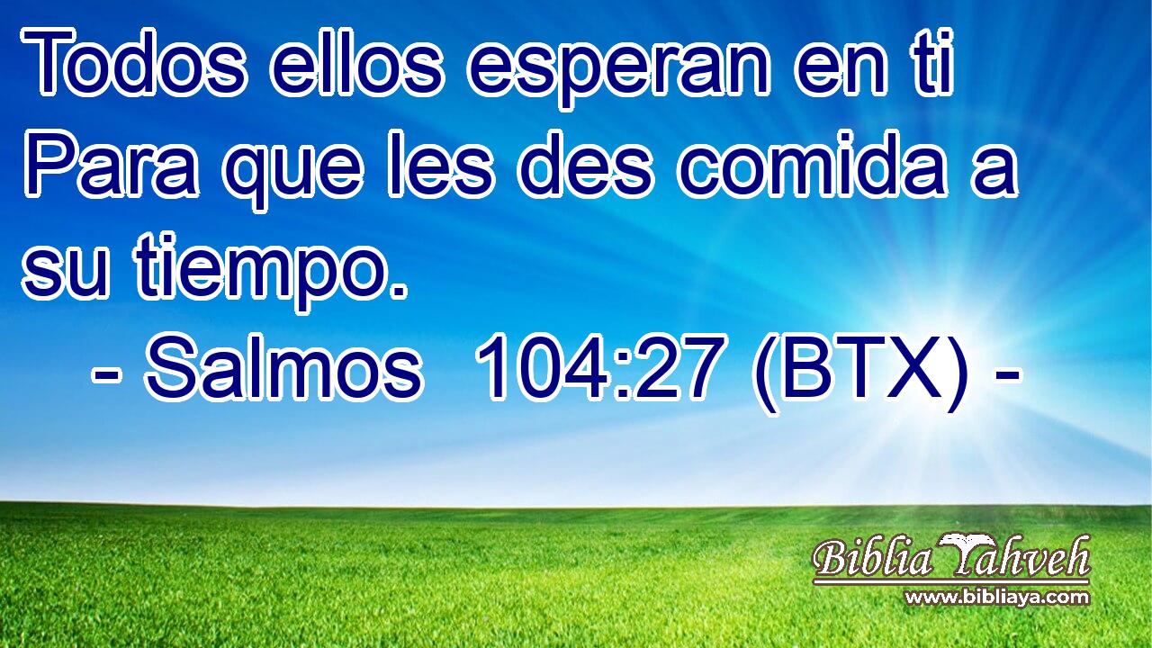 Todos ellos esperan en ti Para que les des comida a su tiempo.