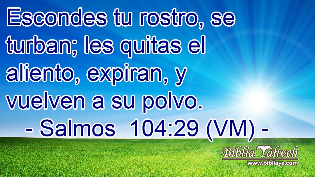  Escondes tu rostro, se turban; les quitas el aliento, expiran, y vuelven a su polvo. 