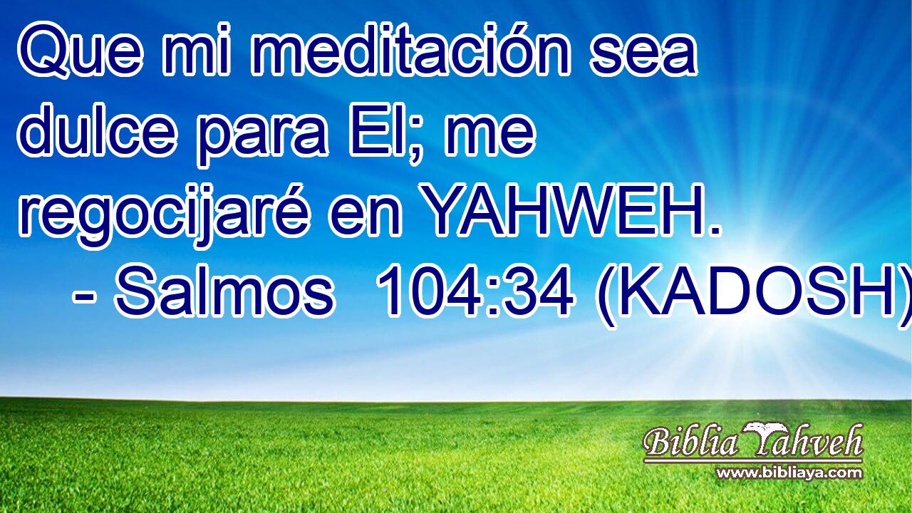 Que mi meditación sea dulce para El; me regocijaré en YAHWEH. 