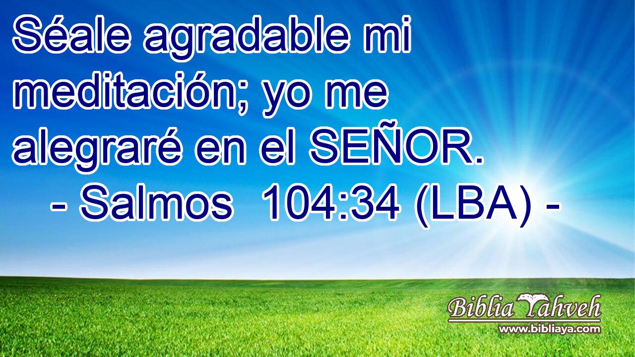 Séale agradable mi meditación; yo me alegraré en el SEÑOR.