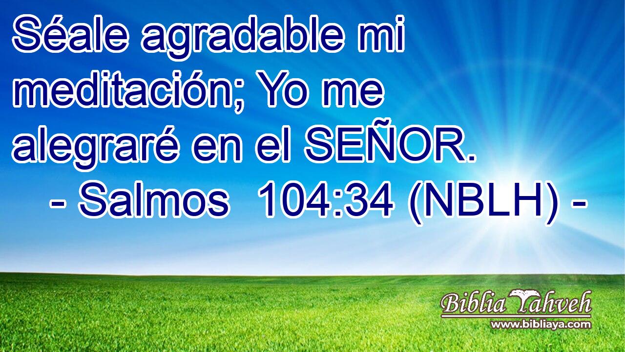  Séale agradable mi meditación; Yo me alegraré en el SEÑOR. 