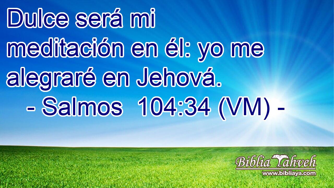  Dulce será mi meditación en él: yo me alegraré en Jehová. 