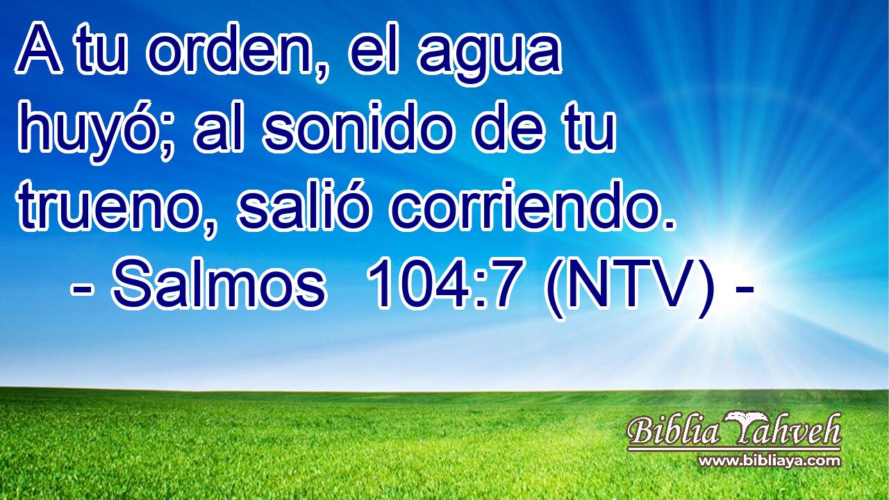 A tu orden, el agua huyó; al sonido de tu trueno, salió corriendo.