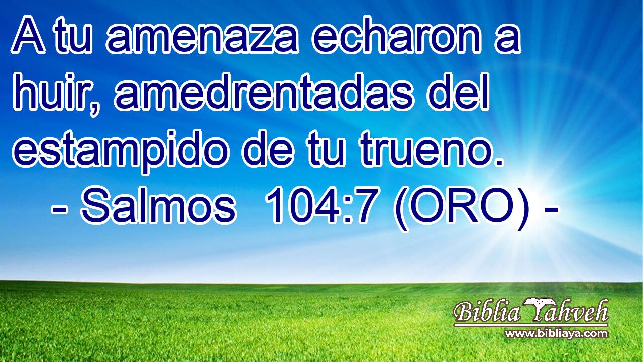  A tu amenaza echaron a huir, amedrentadas del estampido de tu trueno. 