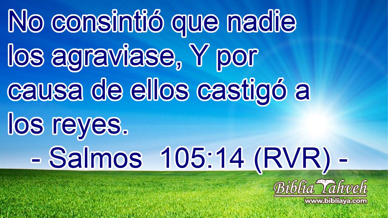 No consintió que nadie los agraviase, Y por causa de ellos castigó a los reyes.