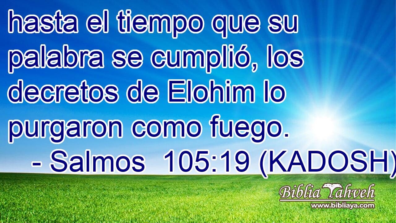  hasta el tiempo que su palabra se cumplió, los decretos de Elohim lo purgaron como fuego. 