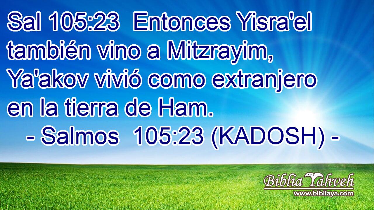  Entonces Yisra'el también vino a Mitzrayim, Ya'akov vivió como extranjero en la tierra de Ham. 