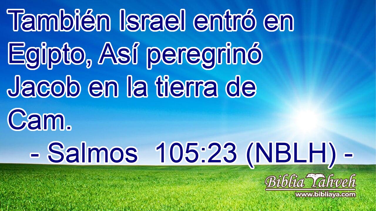  También Israel entró en Egipto, Así peregrinó Jacob en la tierra de Cam. 