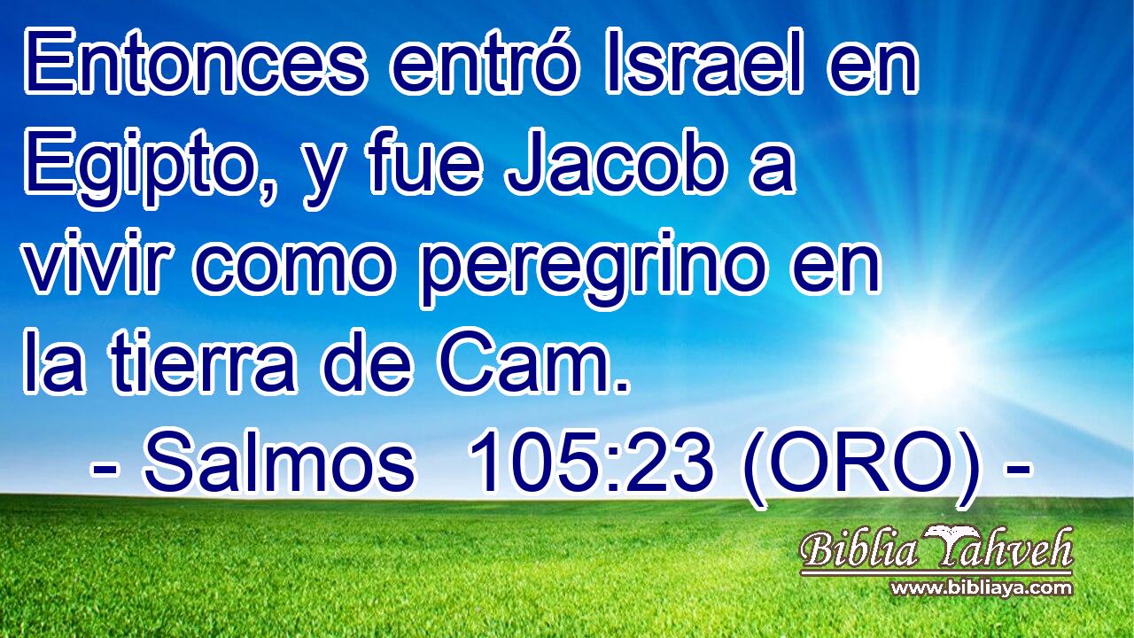  Entonces entró Israel en Egipto, y fue Jacob a vivir como peregrino en la tierra de Cam. 