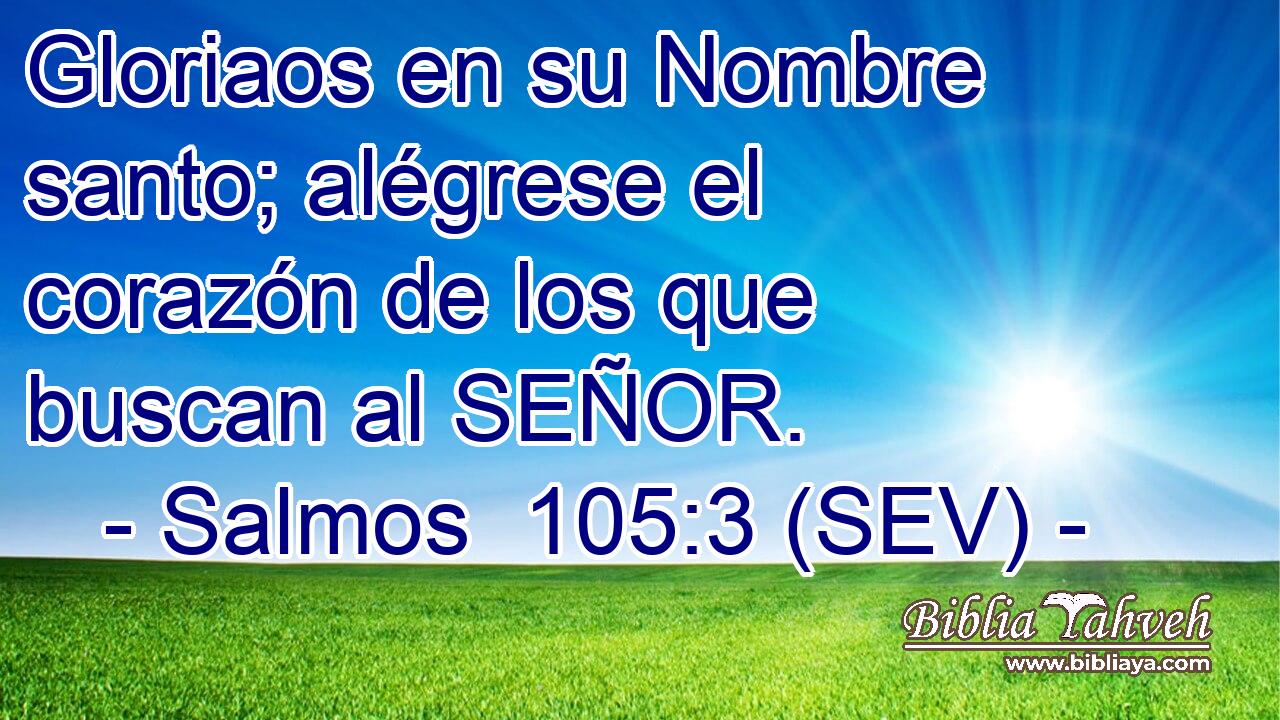 Gloriaos en su Nombre santo; alégrese el corazón de los que buscan al SEÑOR.