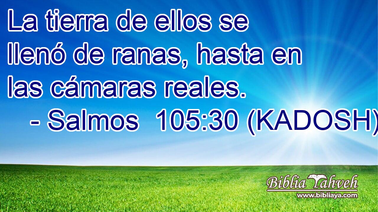  La tierra de ellos se llenó de ranas, hasta en las cámaras reales. 