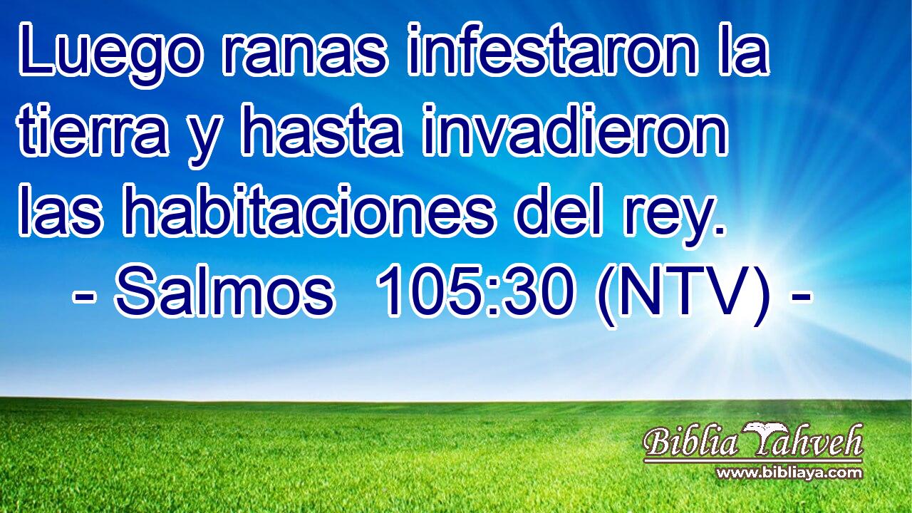 Luego ranas infestaron la tierra y hasta invadieron las habitaciones del rey.