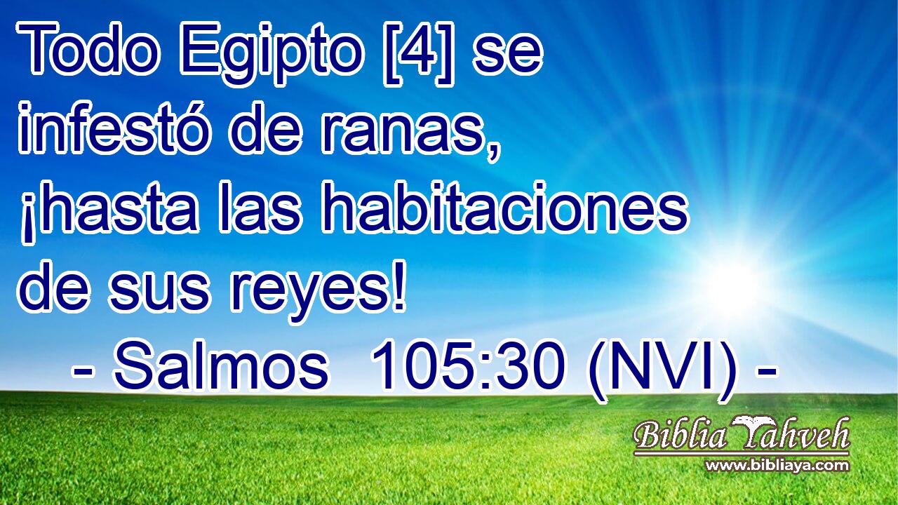  Todo Egipto [4] se infestó de ranas, ¡hasta las habitaciones de sus reyes! 