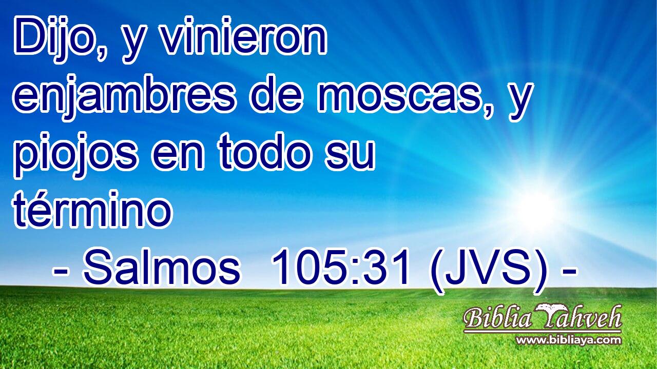 Dijo, y vinieron enjambres de moscas, y piojos en todo su término