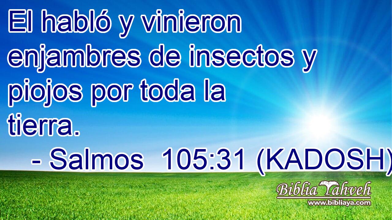  El habló y vinieron enjambres de insectos y piojos por toda la tierra. 