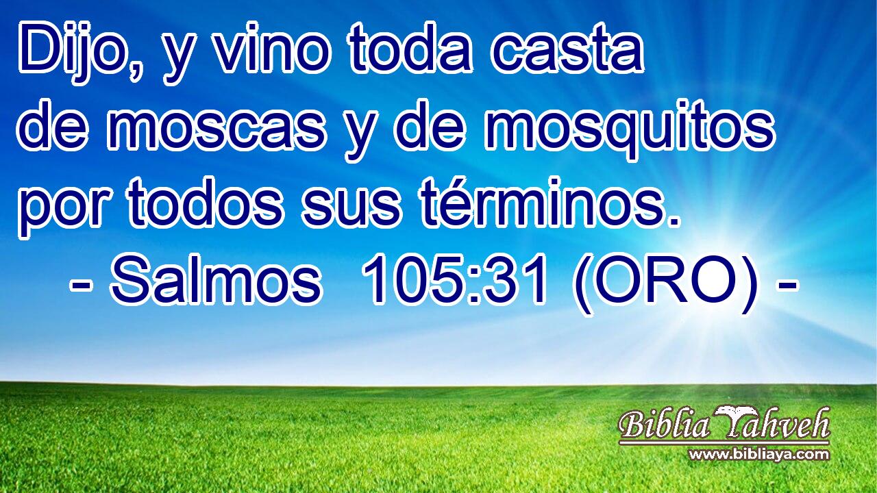  Dijo, y vino toda casta de moscas y de mosquitos por todos sus términos. 
