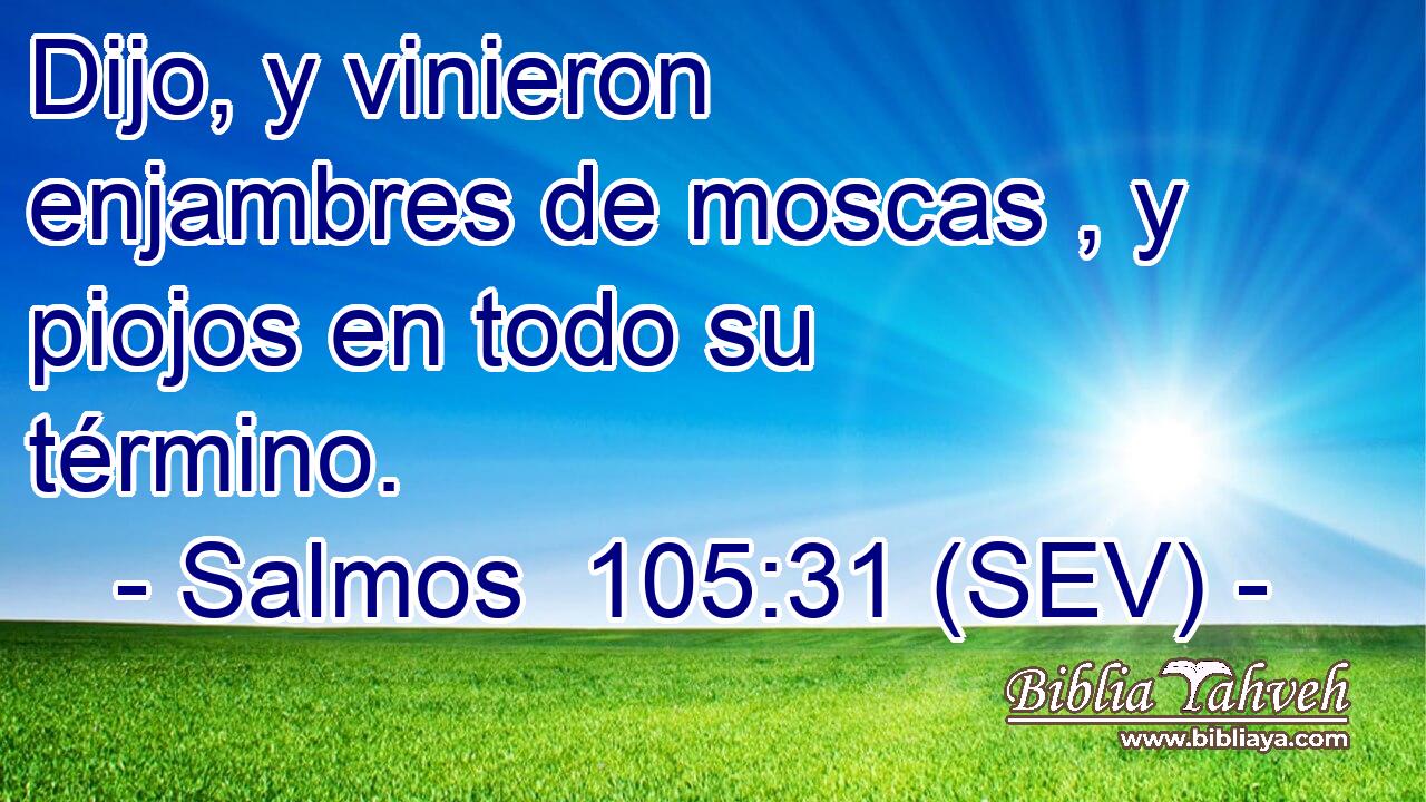 Dijo, y vinieron enjambres de moscas , y piojos en todo su término.