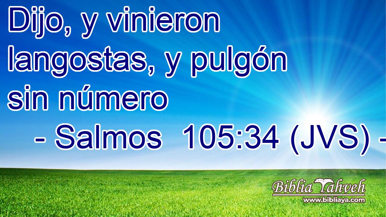 Dijo, y vinieron langostas, y pulgón sin número