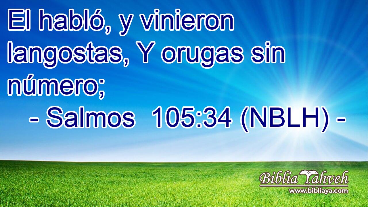  El habló, y vinieron langostas, Y orugas sin número; 