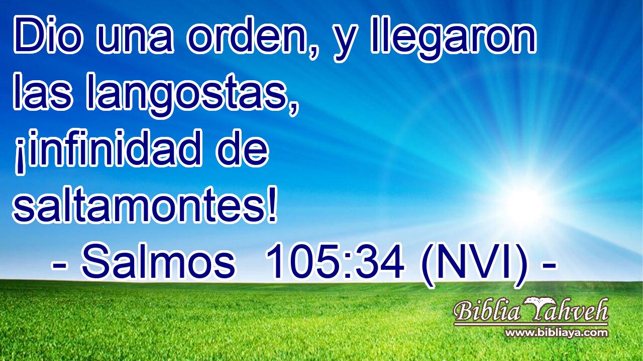  Dio una orden, y llegaron las langostas, ¡infinidad de saltamontes! 