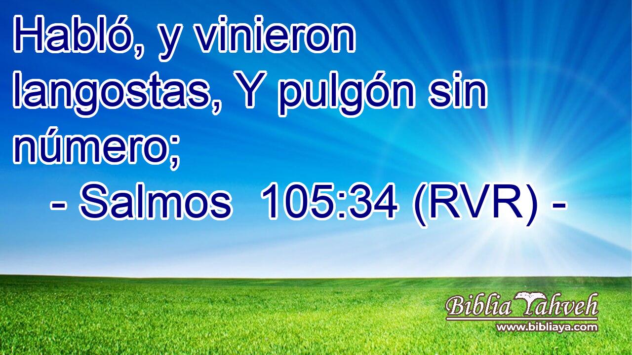 Habló, y vinieron langostas, Y pulgón sin número;