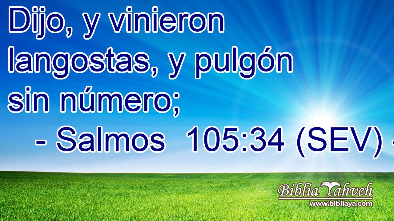 Dijo, y vinieron langostas, y pulgón sin número;