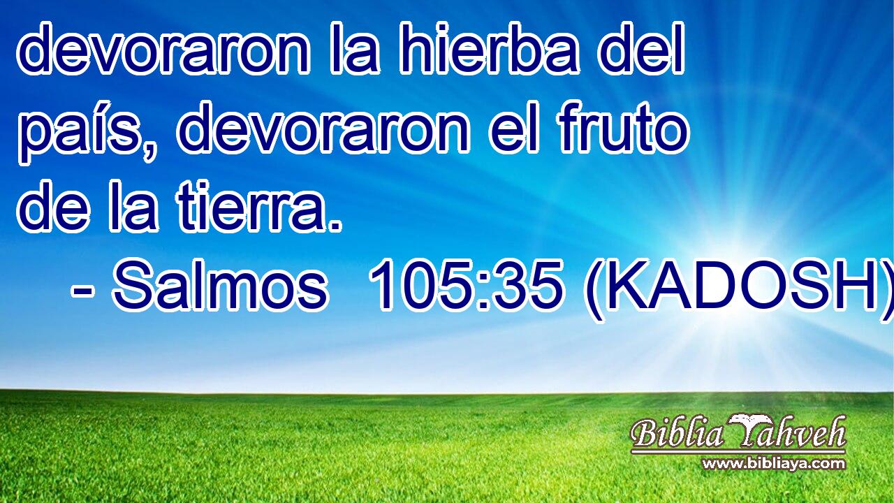 devoraron la hierba del país, devoraron el fruto de la tierra. 