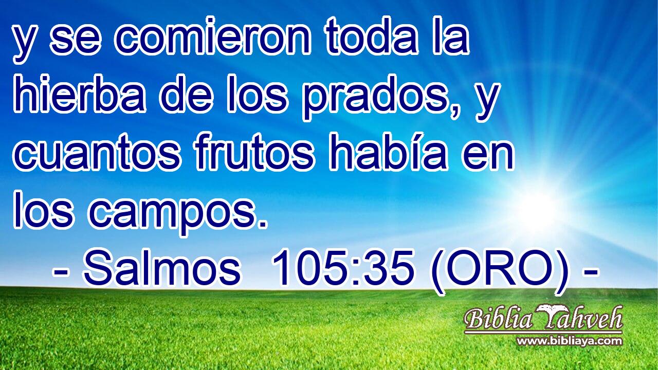  y se comieron toda la hierba de los prados, y cuantos frutos había en los campos. 
