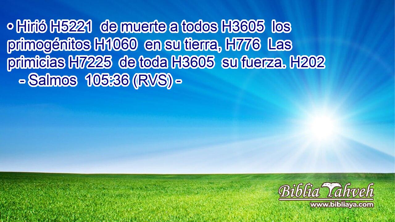 • Hirió H5221  de muerte a todos H3605  los primogénitos H1060  en su tierra, H776  Las primicias H7225  de toda H3605  su fuerza. H202  