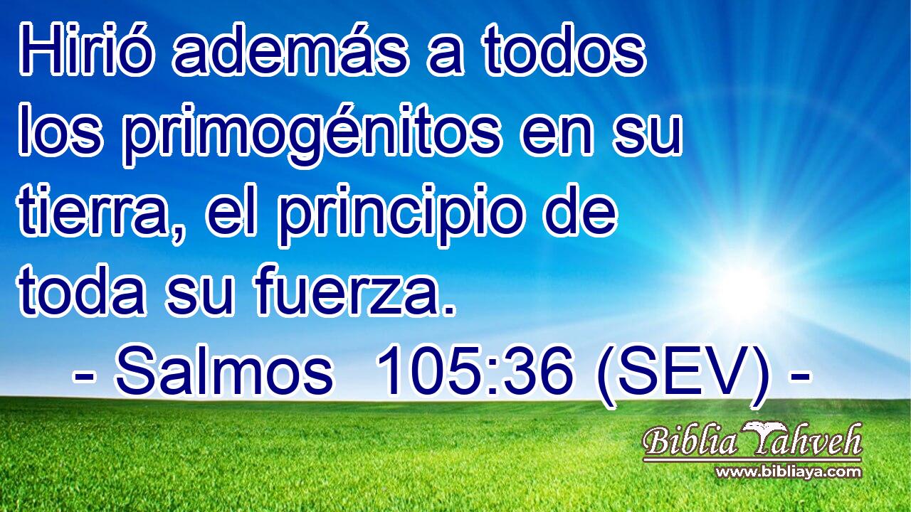 Hirió además a todos los primogénitos en su tierra, el principio de toda su fuerza.