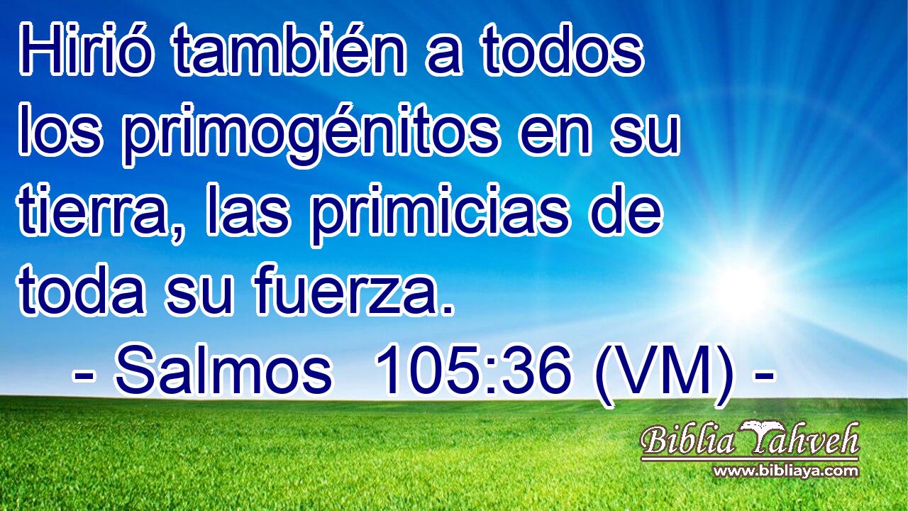  Hirió también a todos los primogénitos en su tierra, las primicias de toda su fuerza. 