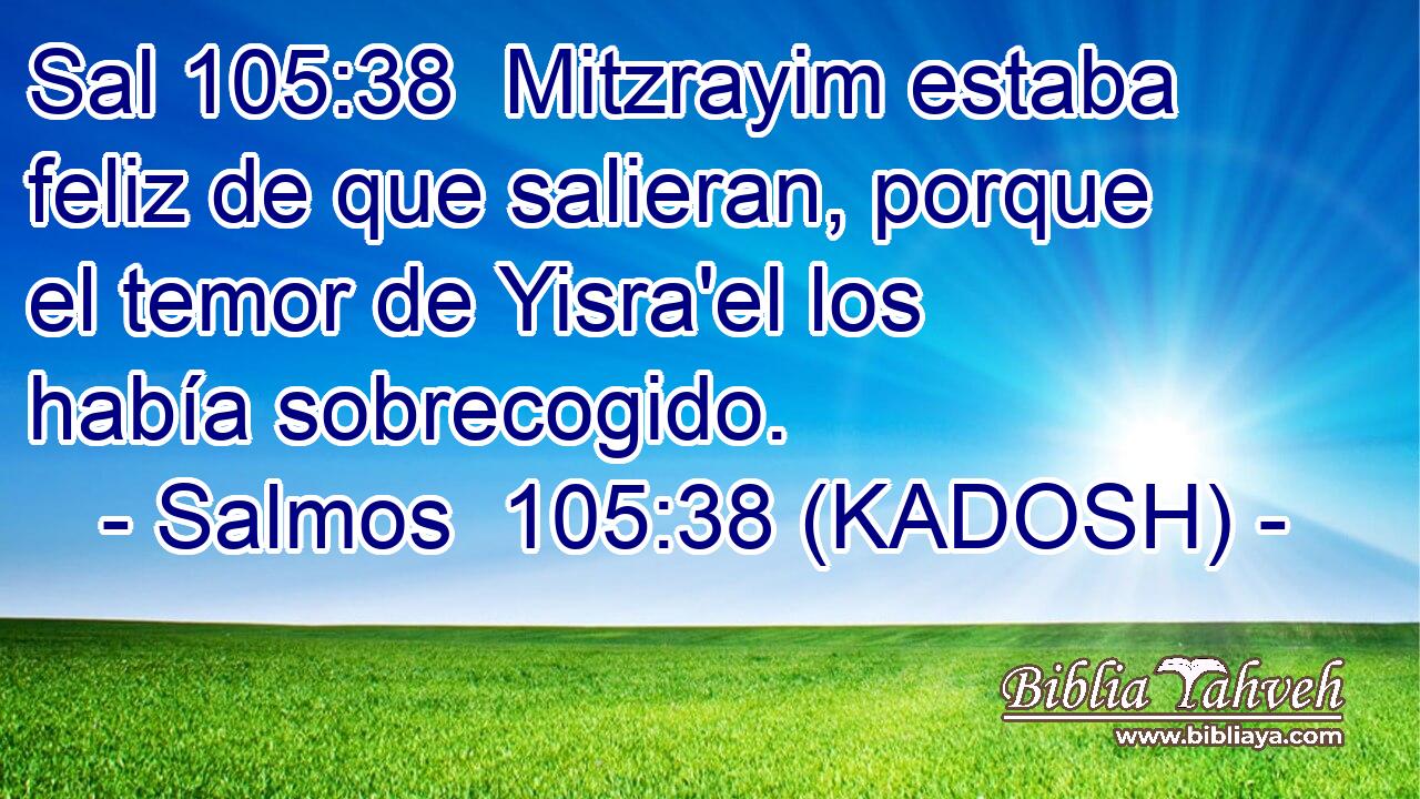  Mitzrayim estaba feliz de que salieran, porque el temor de Yisra'el los había sobrecogido. 