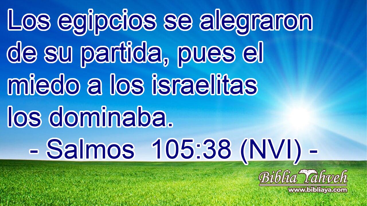  Los egipcios se alegraron de su partida, pues el miedo a los israelitas los dominaba. 