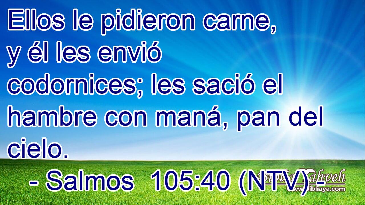 Ellos le pidieron carne, y él les envió codornices; les sació el hambre con maná, pan del cielo.